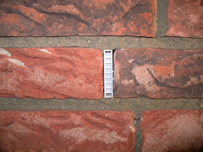 FinExt19.JPG?imgmax=800